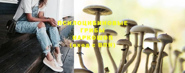 гашик Армянск