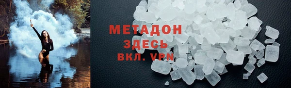 индика Гусев