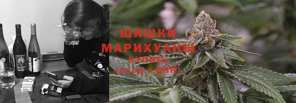 ешки Арсеньев
