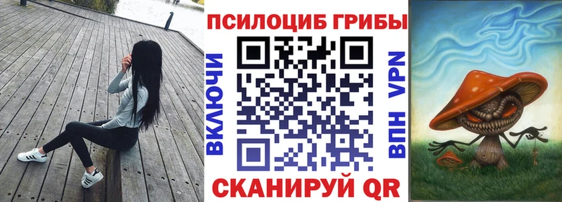 OMG ССЫЛКА  где продают наркотики  Соль-Илецк  Псилоцибиновые грибы Psilocybe 